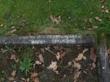 image of grave number 231988